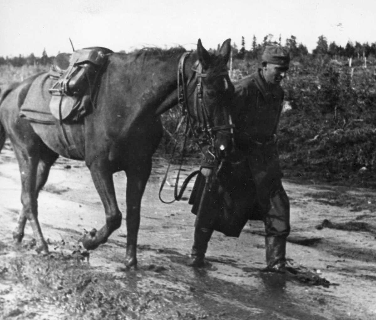 Slogging through mud on the Eastern Front, a German soldier leads his horse forward. Both men and horses were pushed seemingly beyond the limits of endurance during the brutal fighting between the Wehrmacht and the Red Army.