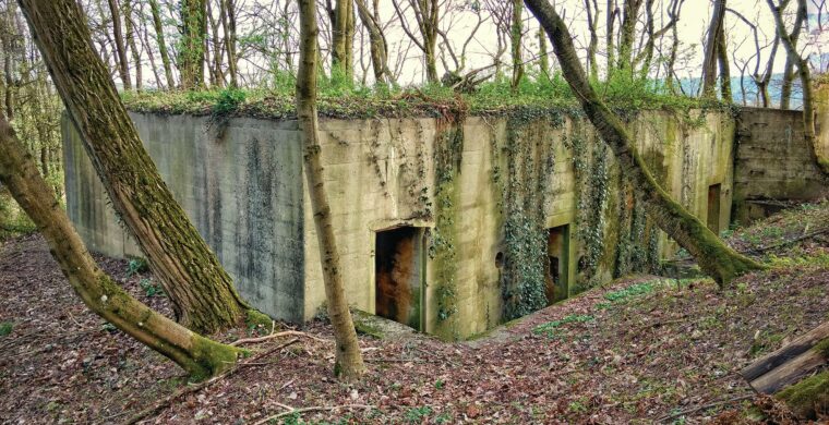 Siegfried Line: Breaking the Dragon’s Teeth - Warfare History Network