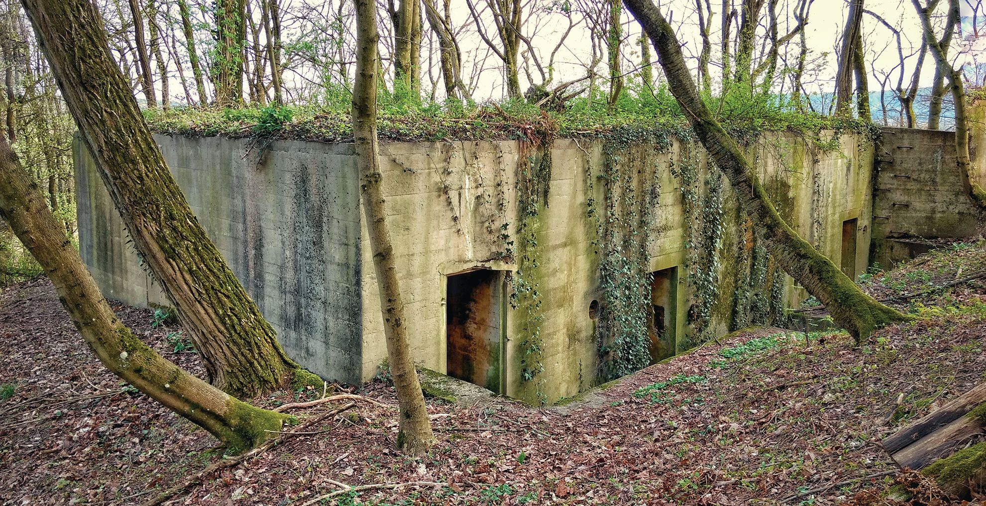 In addition to the dragon’s teeth, attacking forces also had to deal with reinforced-concrete bunkers such as this one south of Saarbrücken. Their silent remains still exist nearly 80 years after the war.
