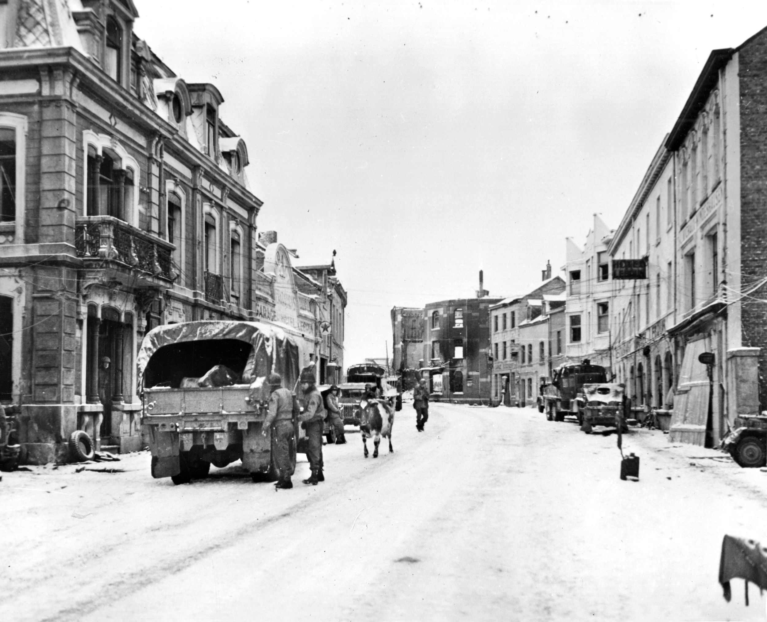 A cow left to wander when its owner fled the German onslaught during the Battle of the Bulge ambles down a street in the town of Bastogne, a center of intense fighting during the Nazi offensive.