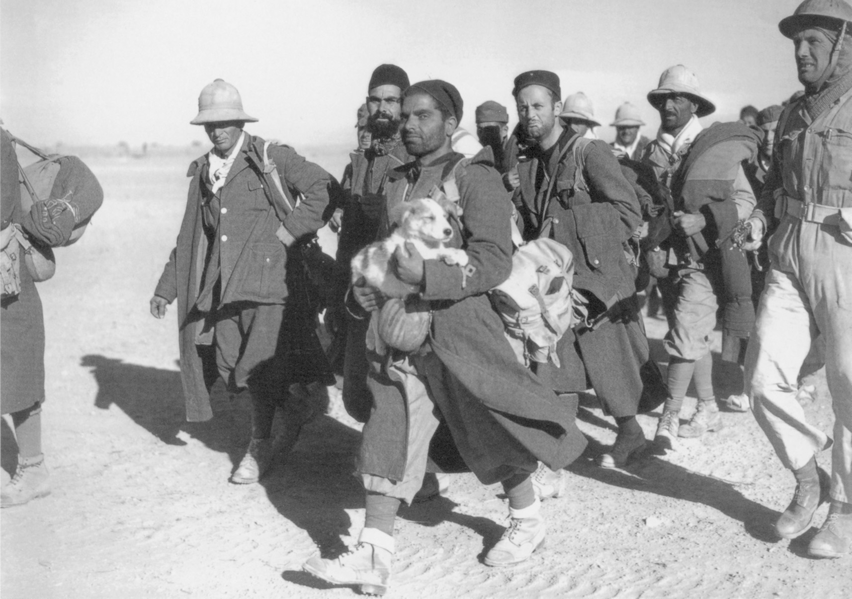 On December 10, 1940, an Italian soldier carries his dog into captivity. The disheveled group pictured here includes only a few of the 130,000 Italian prisoners, including 22 generals and an admiral, 
captured by the British during a brilliant two-month campaign in the Western Desert.
