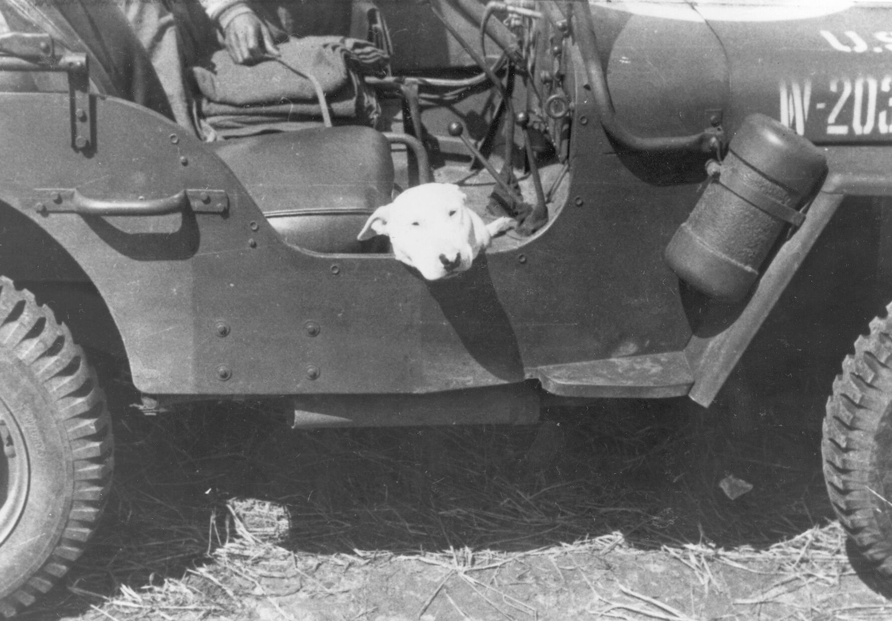 In January 1944, Patton took command of the U.S. Third Army in England. While training his new army and instilling it with his fighting spirit, he bought himself a white bull terrier he named Willie, who would become the focus of many a Patton picture.