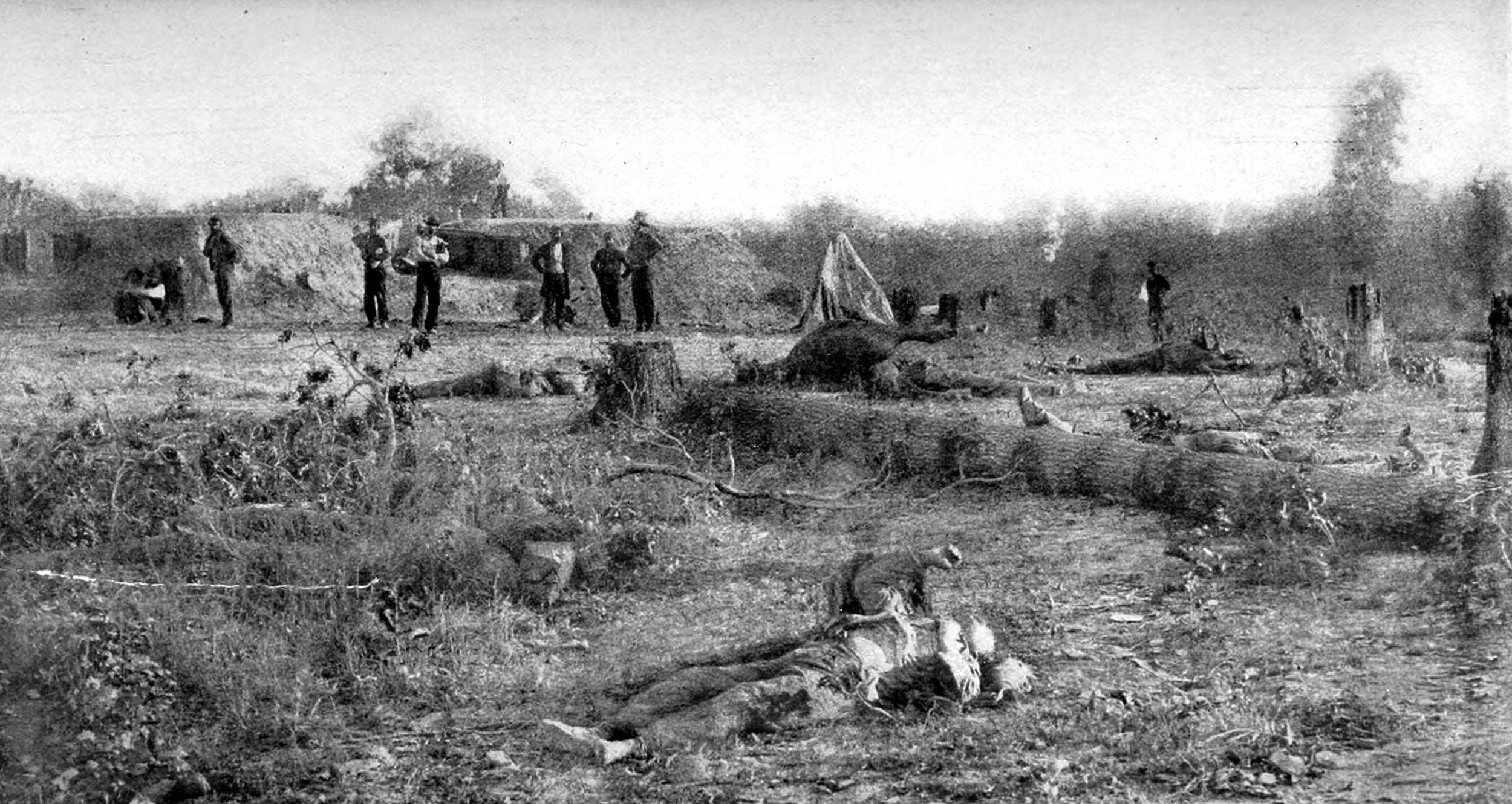Confederate dead in front of Battery Robinette the day after the Battle of Corinth. On the ground in the center of the photo is the body of Col. William P. Rogers of the 2nd Texas. To the right is the horse that was shot out from under him.