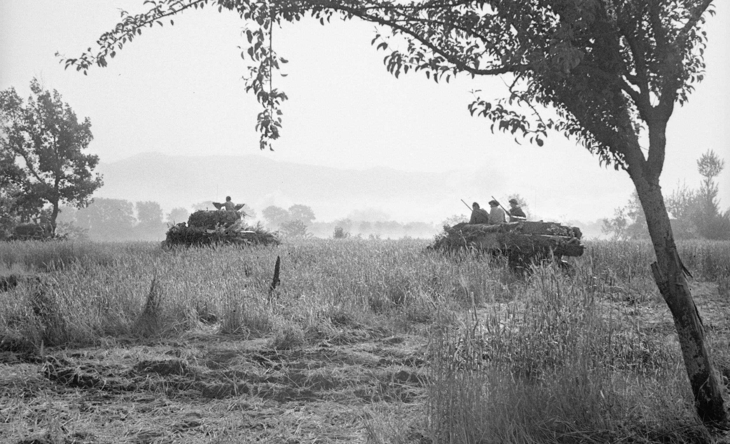 Canadian armored vehicles advance cautiously during the attack on the Hitler Line in the spring of 1944. This photograph was taken as the troops and tanks crossed open ground near Aquino.