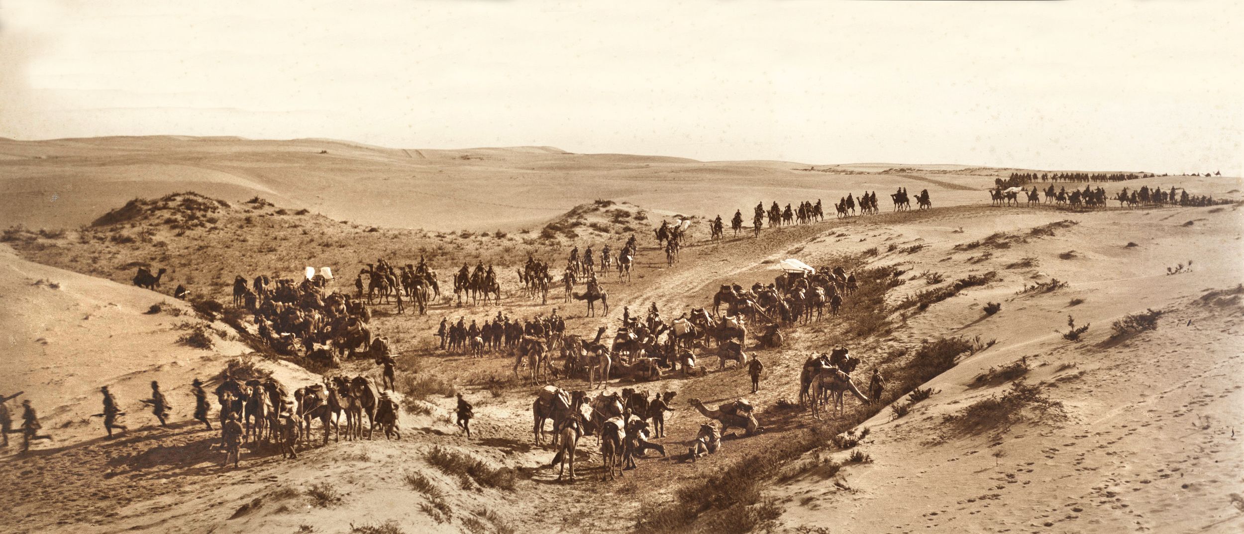 Formed in 1916 from Commonwealth and British troops, the Imperial Camel Corps was attached to the Anzac Mounted Division. The Corps was organized into four divisions (Australian: 1st, 3rd; British: 2nd; New Zealanders and Australian: 4th) of nearly 800 men and 4,000 camels. Camels could carry 300 lbs. and go without water for up to five days, whereas horses needed water daily.