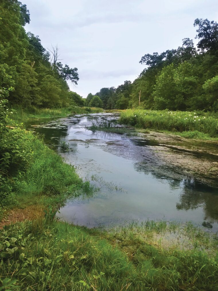 After crossing Redbud Run, seen here, Col. Rutherford Hayes and his men had to cross a muddy quagmire that stopped them momentarily. With his horse trapped in the mud, Hayes dismounted and led his men against James B. Gordon’s Confederates.