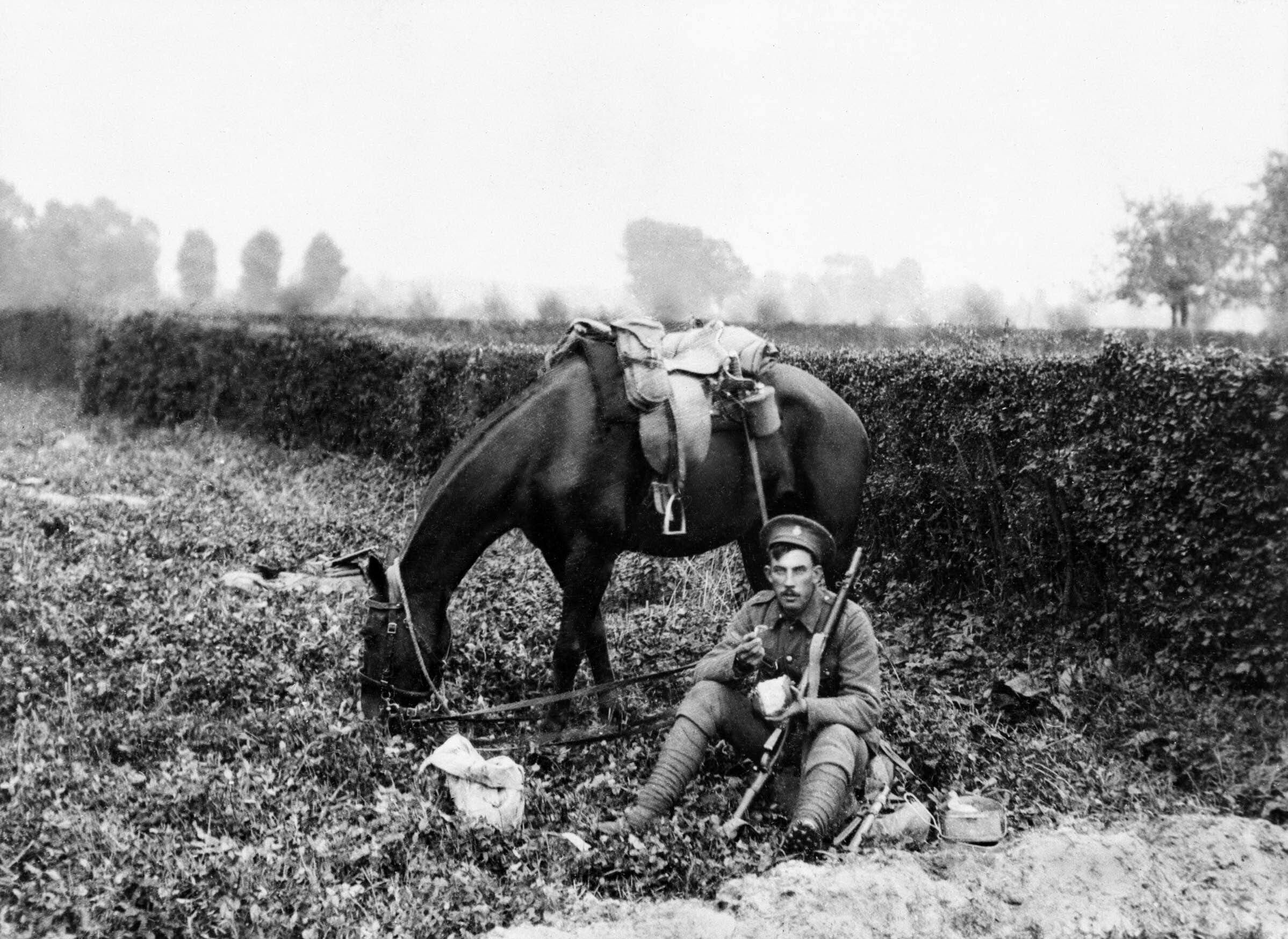 In Belgium, a British cavalry trooper and his mount take a break from the action to eat. In the first weeks of the war, mounted troops proved valuable for communication, as well as combat.