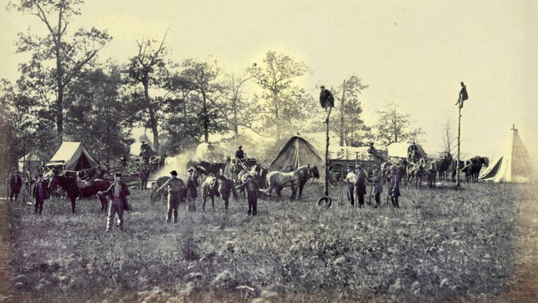 Members of the Military Telegraph Construction Corps, including two balancing atop freshly cut tree trunks, hanging telegraph wire near Brandy Station, Virginia.