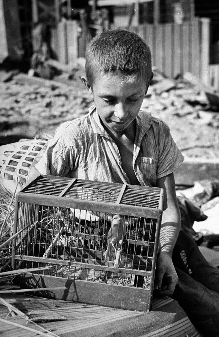 Zygmunt Aksienow sitting outside the ruins of his apartment building with his canary, the one possession he could save. American photographer Julien Bryan documented the devastating results of the Nazi attack on Warsaw in September 1939.
