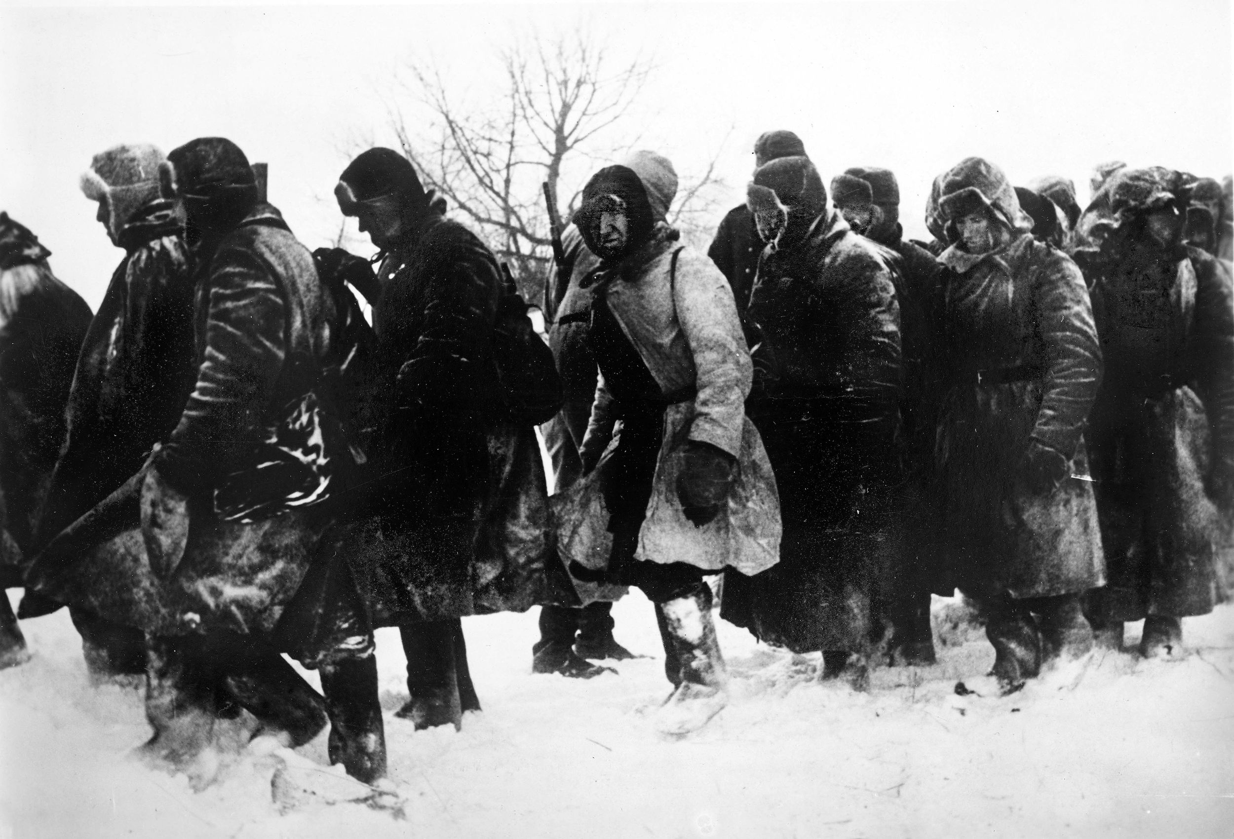 Russian soldiers marching into German captivity in March 1942. Other Soviets who fought on in the salient along the Kalinin Front—includng all the 39th Army and the 11th Cavalry Corps, as well as parts of five divisions and one tank brigade from the 22nd and 41st Armies—were surrounded and largely destroyed southwest of Rzhev by July 5. 