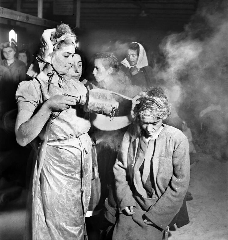 Having just received clean clothing, a survivor of the Bergen-Belsen concentration camp is dusted with DDT powder by a fellow former inmate under British military supervision. In the weeks following the camp’s April 1945 liberation, the Royal Army Medical Corps prioritized mass delousing campaigns to halt the rampant typhus epidemic that had already killed thousands, including diarist Anne Frank.