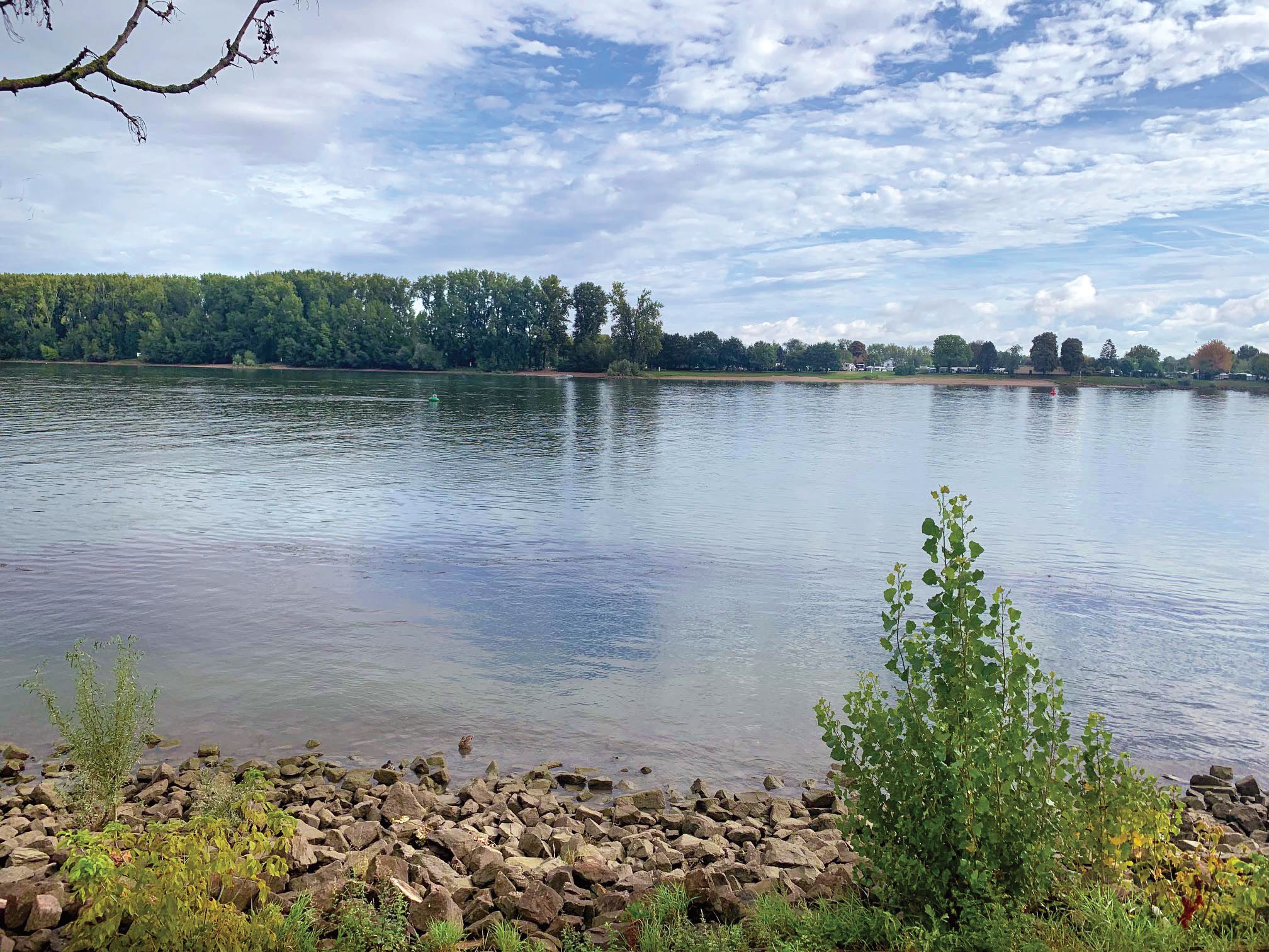 A modern view of the site near Nierstein where soldiers from the 5th Infantry launched their boats and paddled for the far shore of the Rhine. Patton chose this location because, unlike other potential crossing sites dominated by hills, the land on the eastern shore here was flat.