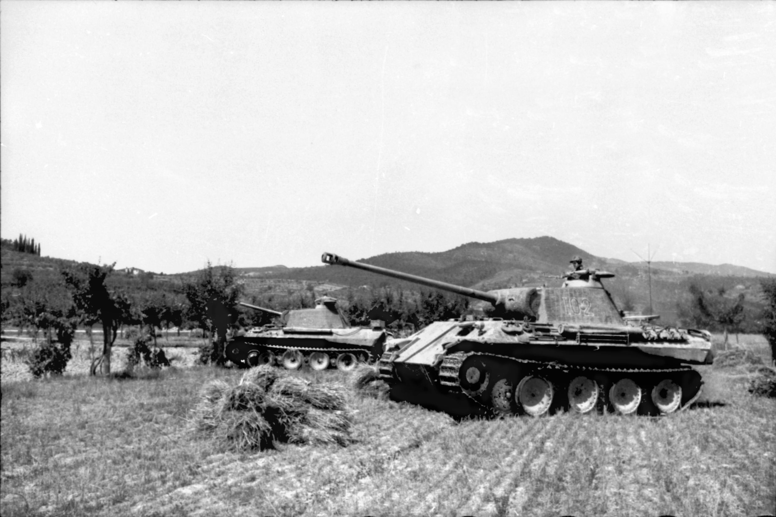 German tanks (Panther Vs) take up a battle line in a farmer’s field near Ravenna, east of Bologna.