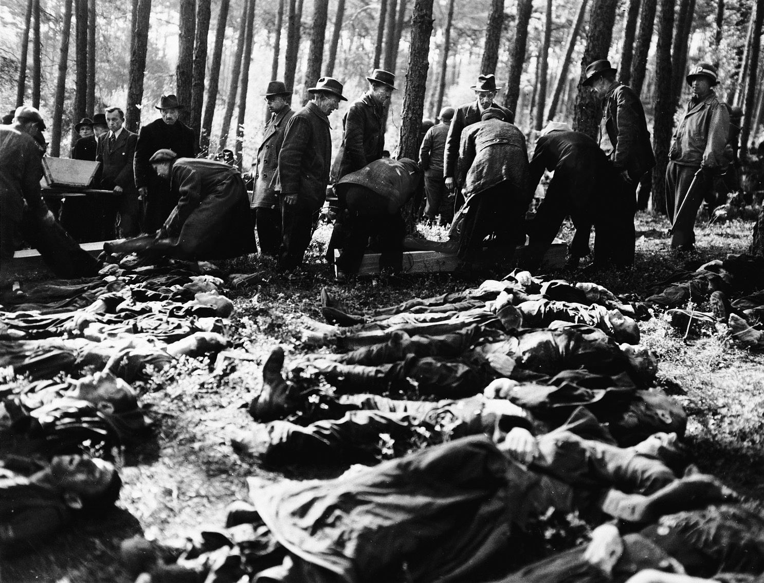 Under the supervision of U.S. soldiers, German civilians place the corpses of concentration camp victims into wooden coffins for transport to the local cemetery. Across liberated Europe, Allied commanders ordered nearby German populations to view the atrocities firsthand and perform the labor of interring the dead—a deliberate policy to confront local citizens with Nazi crimes. There were an estimated 9,000 unburied bodies in the camp when U.S. troops arrived at Dachau on April 29, 1945. Thousands more were buried in mass graves or dumped in the nearby woods.