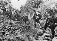 The Gothic Line: How the Allies Breached Germany's Defenses in Italy