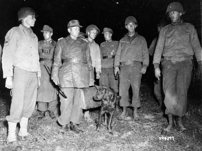 Generalleutnant Hermann-Bernard Ramcke, commander of the Brest garrison, shown after his surrender, September 19, 1944. 