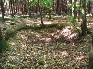 Bomb and shell craters, left over from the fighting in 1944, can still be found among the trees of the Hürtgen Forest.