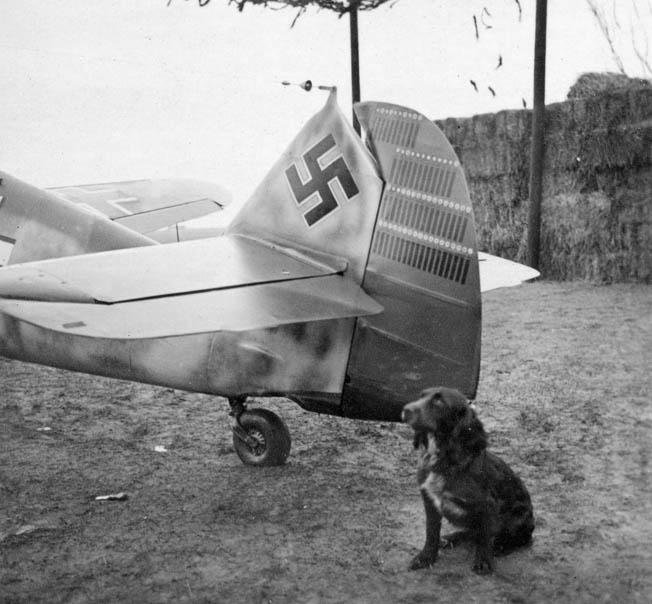 A volume of rare photos from the glory days of the Luftwaffe provides a glimpse of life and combat in Hitler’s air arm.