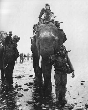 Japanese troops use elephants to cross the rugged terrain of Burma during World War II.