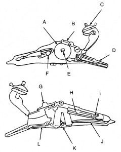 Front and rear section diagrams of the wheel lock's firing mechanism showcase the weapon's ingenious design.