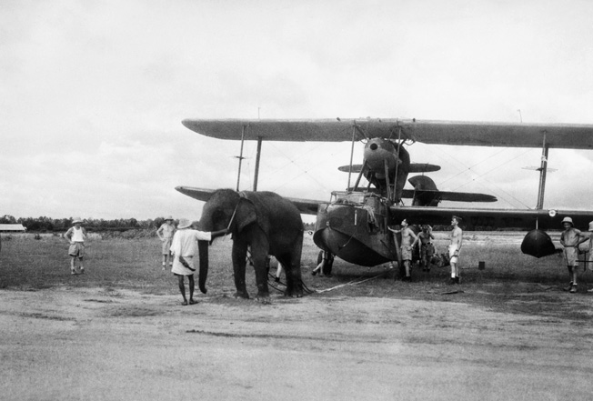 An elephant pulls a Submarine Walrus into position at a Fleet Air Arm station in India in June 1944.