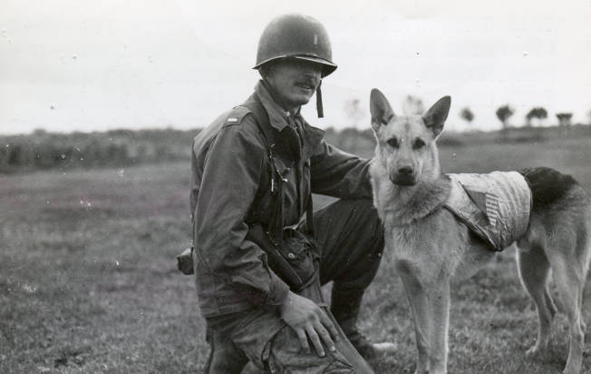 military dogs in combat