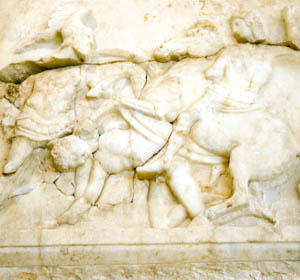 Philip II of Macedon's brilliant command lead to the rise of Macedonia after the Battle of Chaeronea.