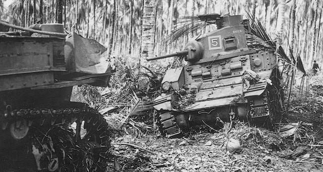 The Battle of Buna during the defense of Australia in New Guinea saw both sides battle stubborn resistance, harsh jungle, and treacherous mountains.