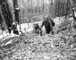 Battle of Reipertswiller: The 157th Infantry's Heroic Stand During ...