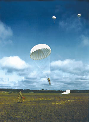 U.S. paratroopers plummet earthward during training exercises. In order to earn their paratrooper wings, Soldiers had to complete five successful practice jumps.