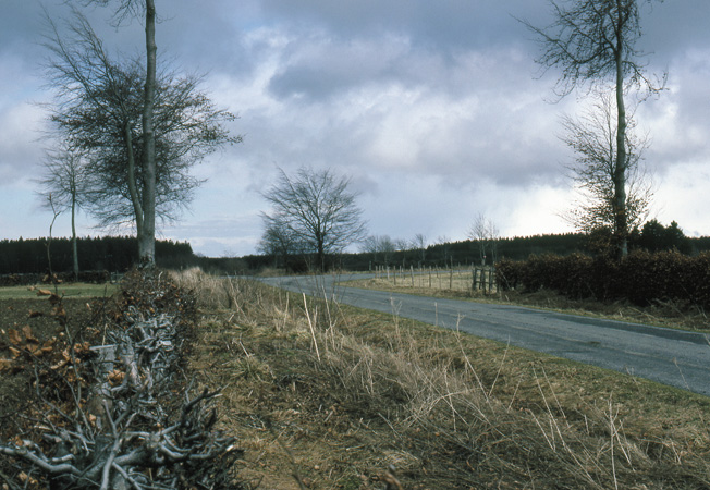 This modern view of Lausdell, taken in 1986, shows the position where Panther tanks 127 and 135 were disabled and destroyed by American fire as they advanced in the vanguard of the German offensive.