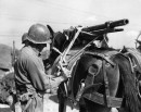 Army Mules: The Beast of Burden in War - Warfare History Network