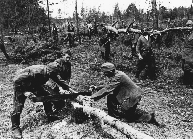 2-G56-G1-1943-12 German POWs sawing wood / WWII / 1943 History/ World War II/ Prisoners of war - Soviet Union 1943: German prisoners of war sawing wood. - Photo, 1943.