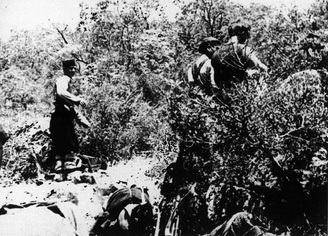 Preparing to destroy a bridge, Greek soldiers move through extensive brush while wary of being discovered by the Germans.