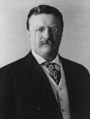 Theodore Roosevelt, the Monroe Doctrine & the U.S. Navy