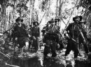 Operation Cartwheel: Seizing the Solomons and Beyond